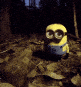Un petit minion qui marche dans les bois